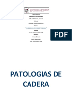 Cuadro Comparativo de Patologisa