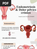 Endometriosis y Dolor Pélvico Crónico