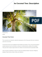 Facts About The Coconut Tree