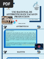 Uso Racional de Antibióticos en Vacas en Producción PDF