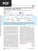 !!!! Photoconjugation of An Fc-Specific Peptide