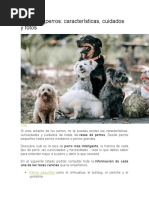 Raza de Perros