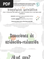 Ev 3. Presentación de Las Vías y Procesos Metabólicos Identificados en El Metabolismo Aeróbico