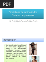 Biosíntesis de Aminoácidos