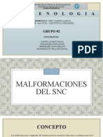 Malformaciones Del SNC