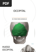 OCCIPITAL