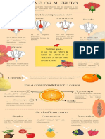 Infografía de La Flor Al Fruto