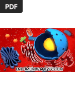 ?endomembrane System - Ankit