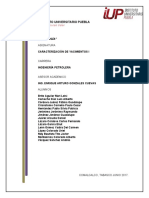 Antologia Caract. Yacimientos 1