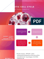 Mitotic Cell Cycle 2022