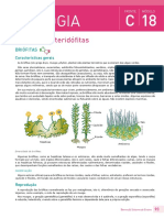 18 C Biologia: Briófitas e Pteridófitas