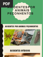 Treinamento para Acidentes Por Animais Peçonhentos