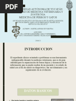 Abordaje Diagnostico Carcinoma Mamario Caso Clinico