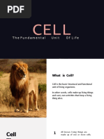 Lecture 1 The Cell (Basic Unit of Life)