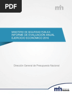 Informe - Ejecucion - Anual - Ministerio Seguridad Pública 2016