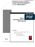 PDF Documento