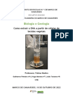 DNA Extração Biologia