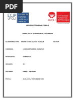 Acta de Audiencia Preliminar, Olivas