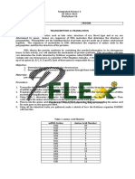 Worksheet16 Transcription To Translation