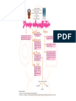 Proceso Administrativo