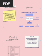 Mapa Conceptual 