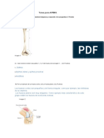 Tarea para APB03