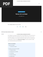 Las Ramas de La Ecología y Su Importancia para El Medio Ambiente