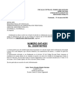 Formatos Flagrancias 2