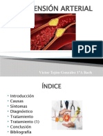 Hipertension Arterial