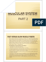 Muscular System: Fast Versus Slow Muscle Fibers