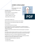 Endodoncia 1 Corte