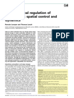 Regulación Biomecánica de La Contractilidad Control Espacial y Dinámica