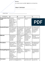 Your Rubric - Lab Report - Electrolysis