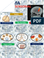 Infografia Neuro