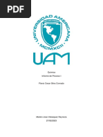 Informe de Proceso I Quimica