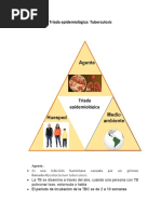 Gomez Casanova Nimbe Anahi - Triada Epidemiológica