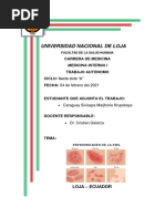 Autónomo N1 Enfermedades de La Piel