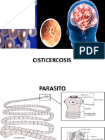 Tema 14 Cisticerco-1