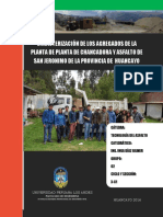 Informe Agregados