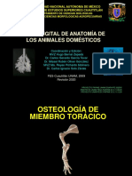 Osteología Del M Torácico Rev 2020