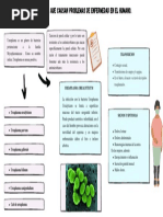 Ureaplasma Que Causan Problemas de Enfermedad en El Humano.