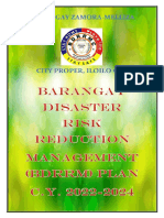 Brgy. Zamora Melliza Iloilo City BDRRM-Plan-2022-2024