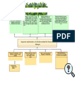 Ejemplo de Arbol de Problemas 12