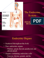 Regulasi Endokrin 22 Intensif