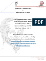 Carbohidratos e Hidrolisis Del Almidon