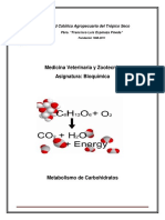 Folleto 2 Metabolismo de Carbohidratos MVZ