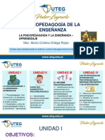 Psicopedagogía de La Ensenanza