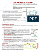 1D. Metabolismo de Glucógeno