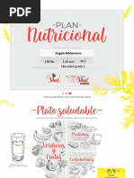 Plan Alimentacion Angela Matamoros