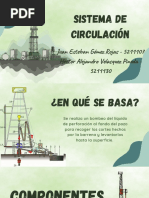 Sistema de Circulación